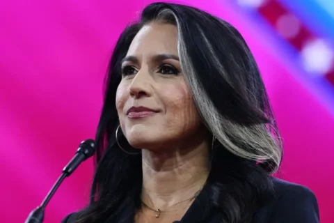 Tulsi Gabbard Biography